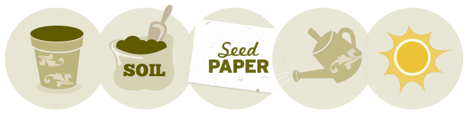 Seeded Paper Steps