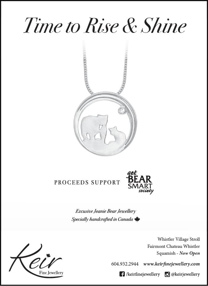 Keir Fine Jewellery Bear Smart Ad Design