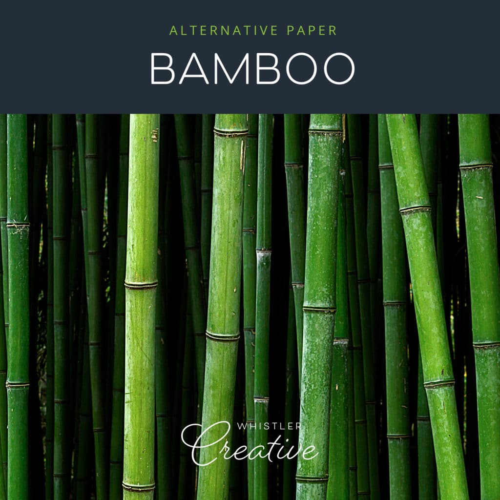 Bamboo Sustainable Paper
