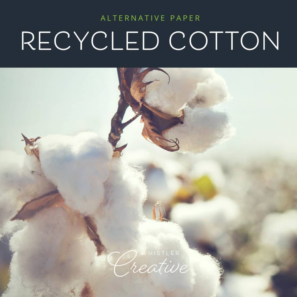 Recycled Cotton Sustainable Paper