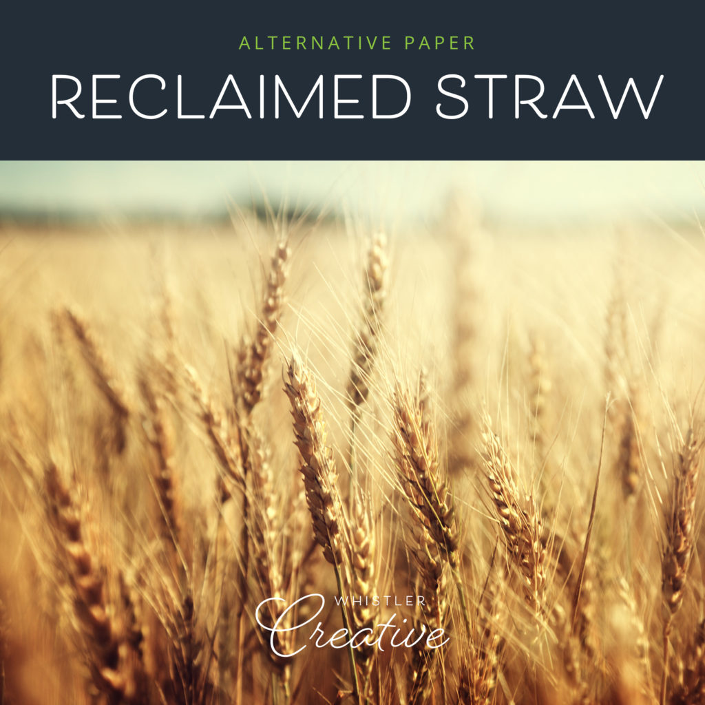 Straw Sustainable Paper