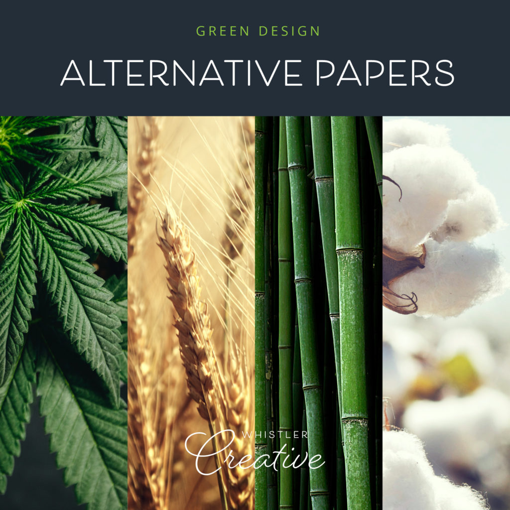 Sustainable Paper Options
